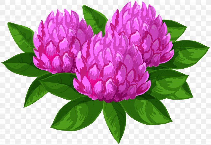 Wildflower Clip Art, PNG, 8000x5484px, Flower, Annual Plant, Copying, Cut Flowers, Flowering Plant Download Free