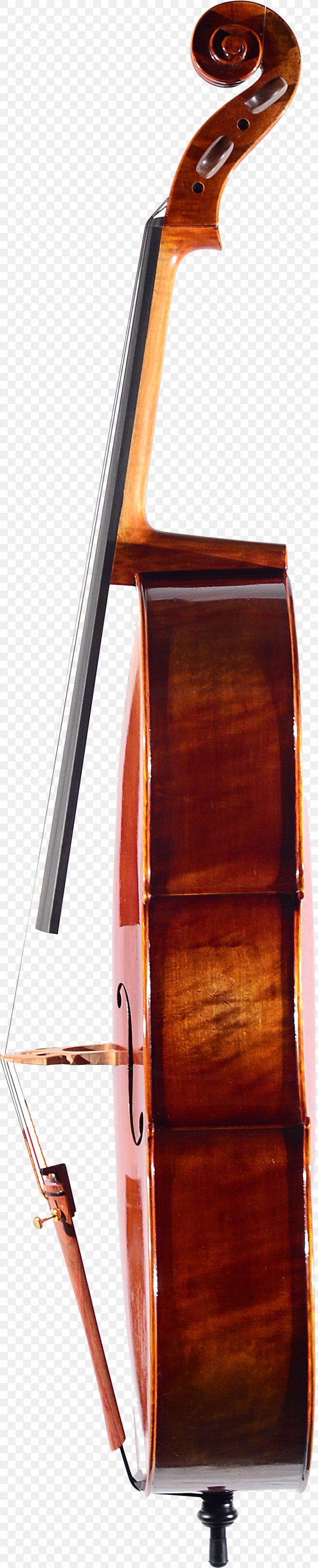 Bass Violin Double Bass Violone Viola Cello, PNG, 859x4229px, Bass Violin, Bass, Bowed String Instrument, Cello, Copperhead Download Free