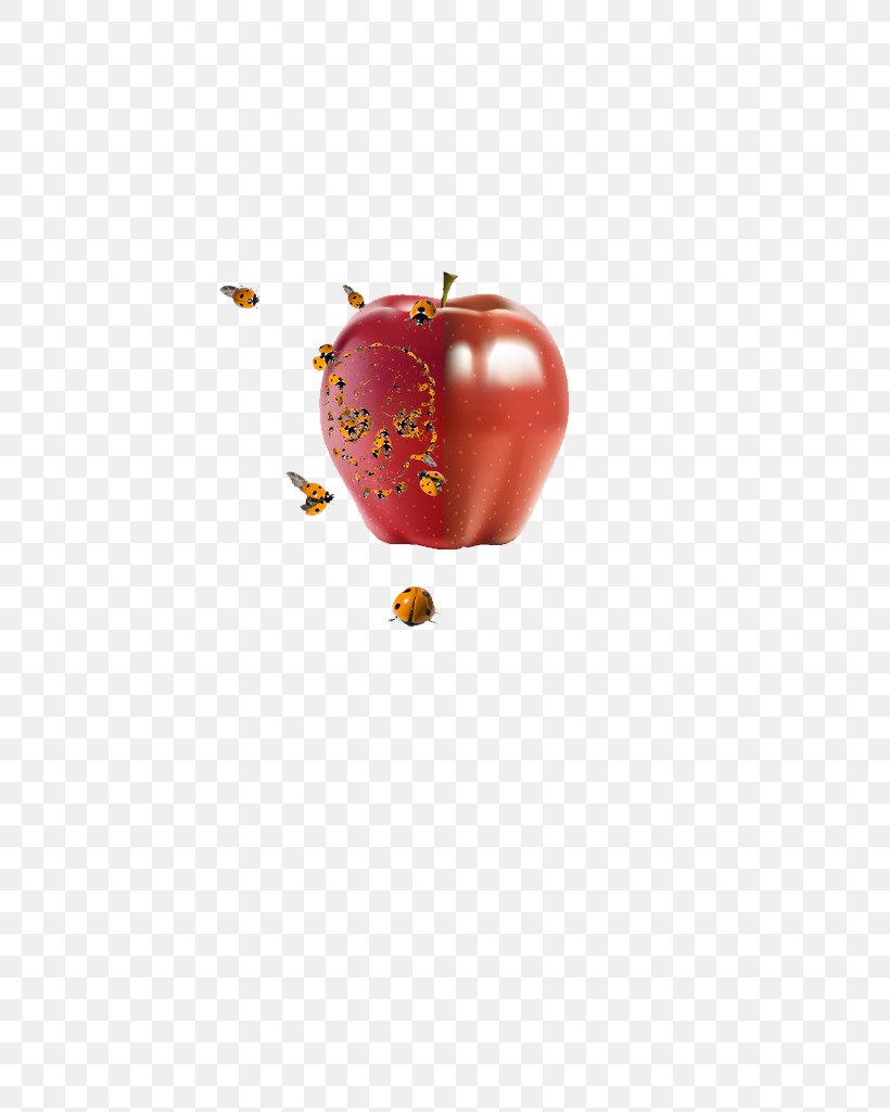 Bee Apple Download, PNG, 724x1024px, Bee, Apple, Computer, Computer Graphics, Food Download Free