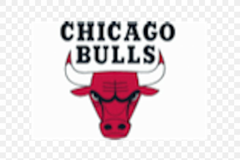 Chicago Bulls Denver Nuggets NBA Basketball Sport, PNG, 1000x666px, Chicago Bulls, Basketball, Brand, Central Division, Coach Download Free