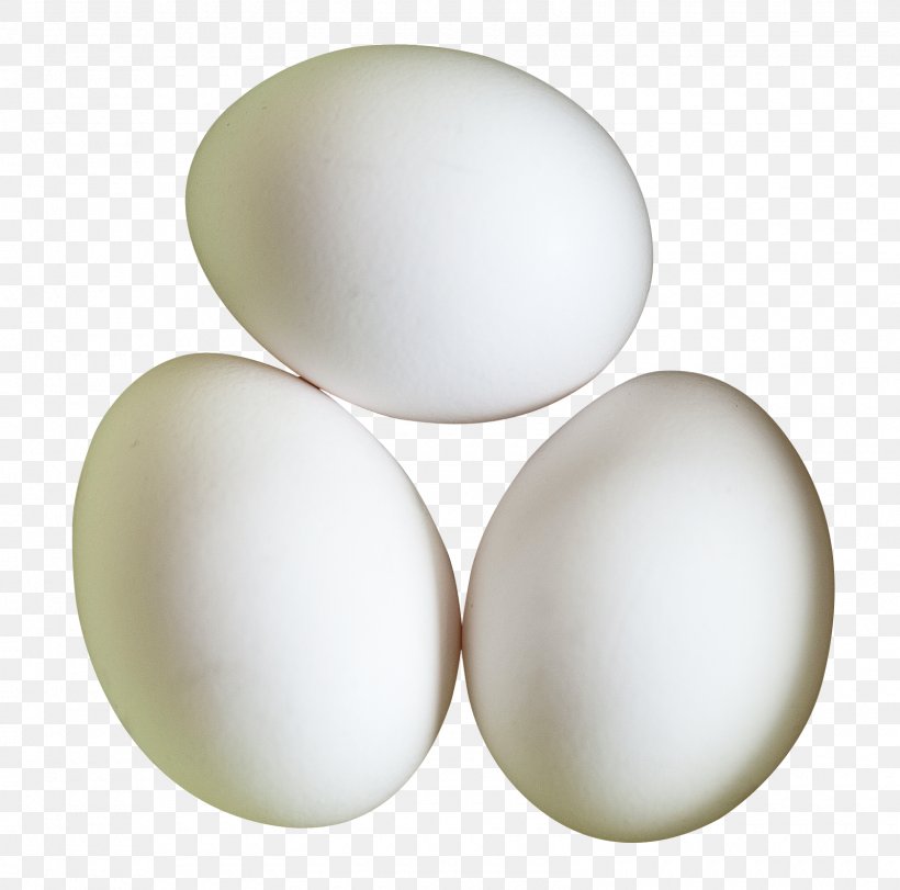 Egg White, PNG, 1600x1583px, Egg White, Egg Download Free