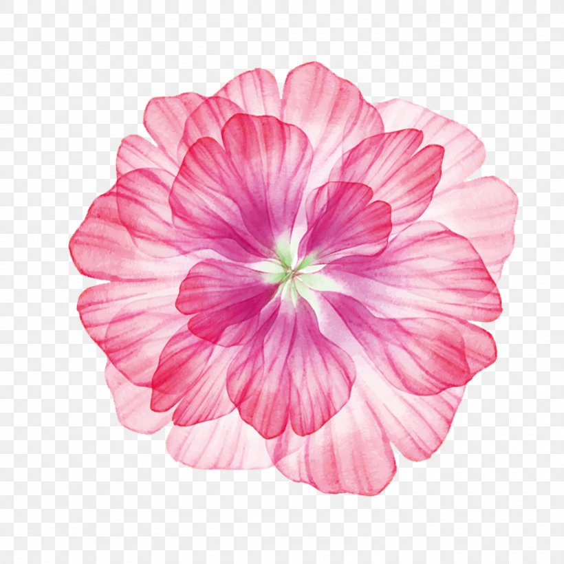Flower, PNG, 1500x1500px, Hawaii, Dahlia, Floral Design, Flower, Flower Arranging Download Free