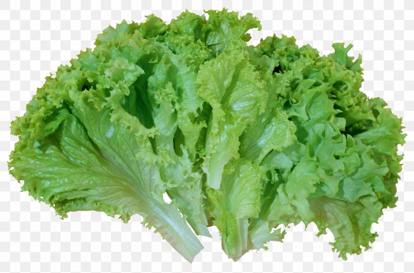 Greek Salad Lettuce Clip Art, PNG, 2000x1323px, Greek Salad, Broccoli, Cabbage, Collard Greens, Endive Download Free