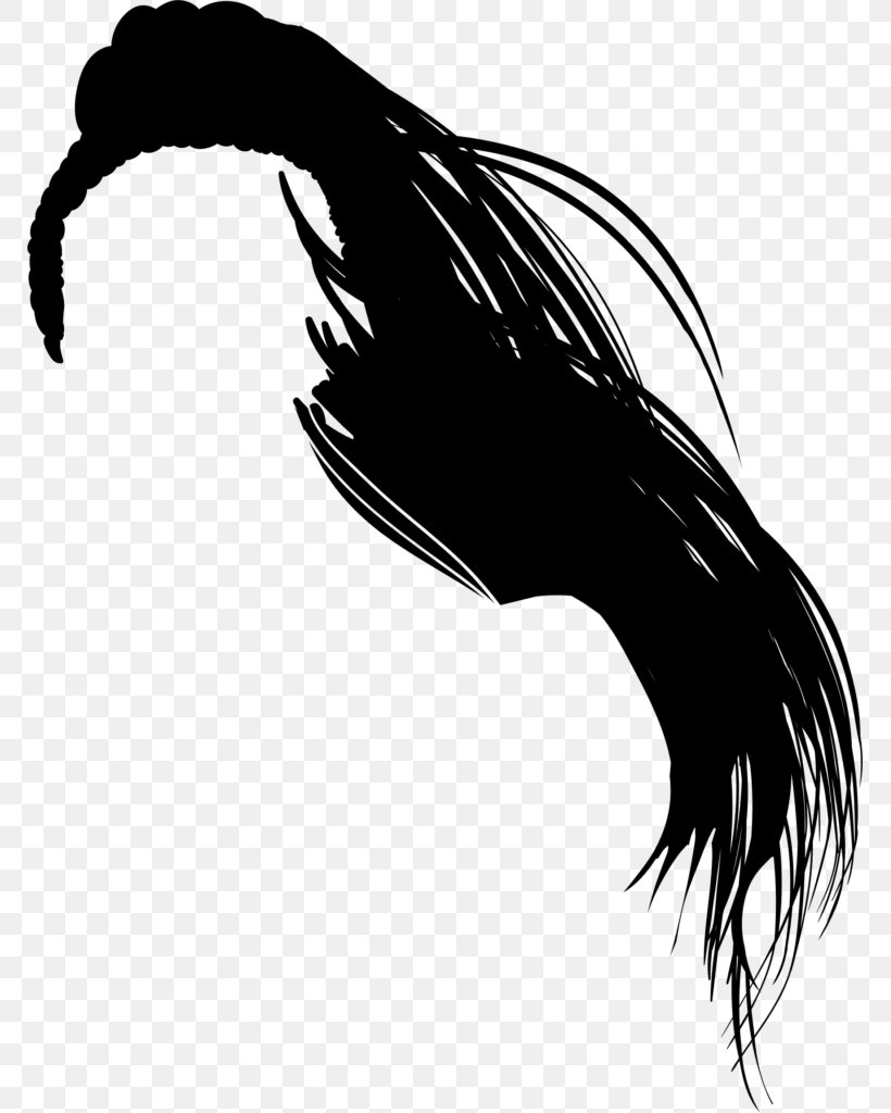 Hair Afro Clip Art, PNG, 769x1024px, Hair, Afro, Afrotextured Hair, Beak, Bird Download Free