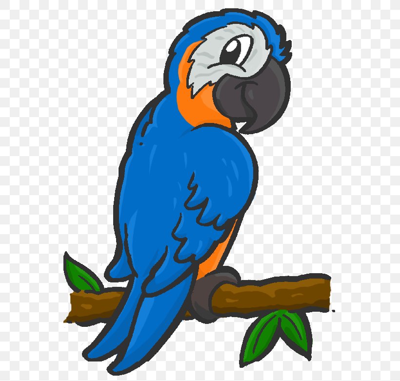 Macaw Parrot Clip Art Illustration Beak, PNG, 560x781px, Macaw, Animal, Artwork, Beak, Bird Download Free