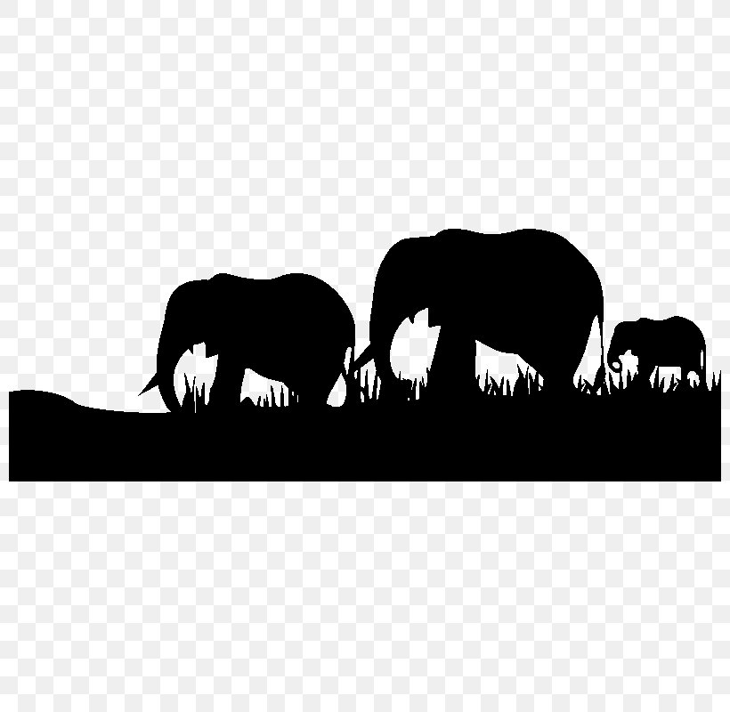 Wall Decal Indian Elephant Horse Elephantidae Africa, PNG, 800x800px, Wall Decal, Africa, African Elephant, Animal, Black And White Download Free
