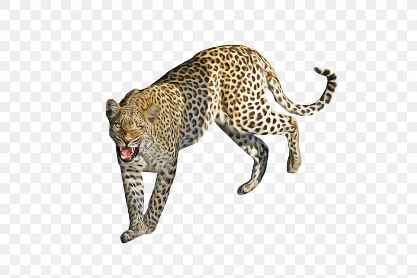 Cars Cartoon, PNG, 2304x1536px, Leopard, African Leopard, Animal, Animal Figure, Cheetah Download Free