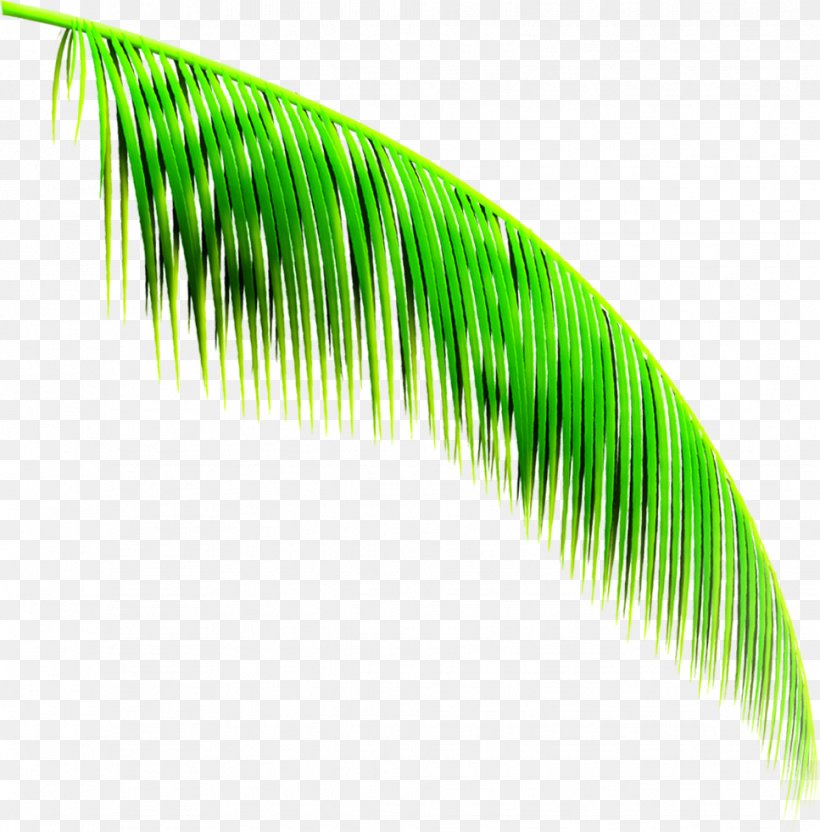 Cartoon Green, PNG, 967x982px, Cartoon, Designer, Grass, Green, Leaf Download Free