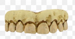 Fake Smile - Human Tooth Costume Human Skeleton PNG