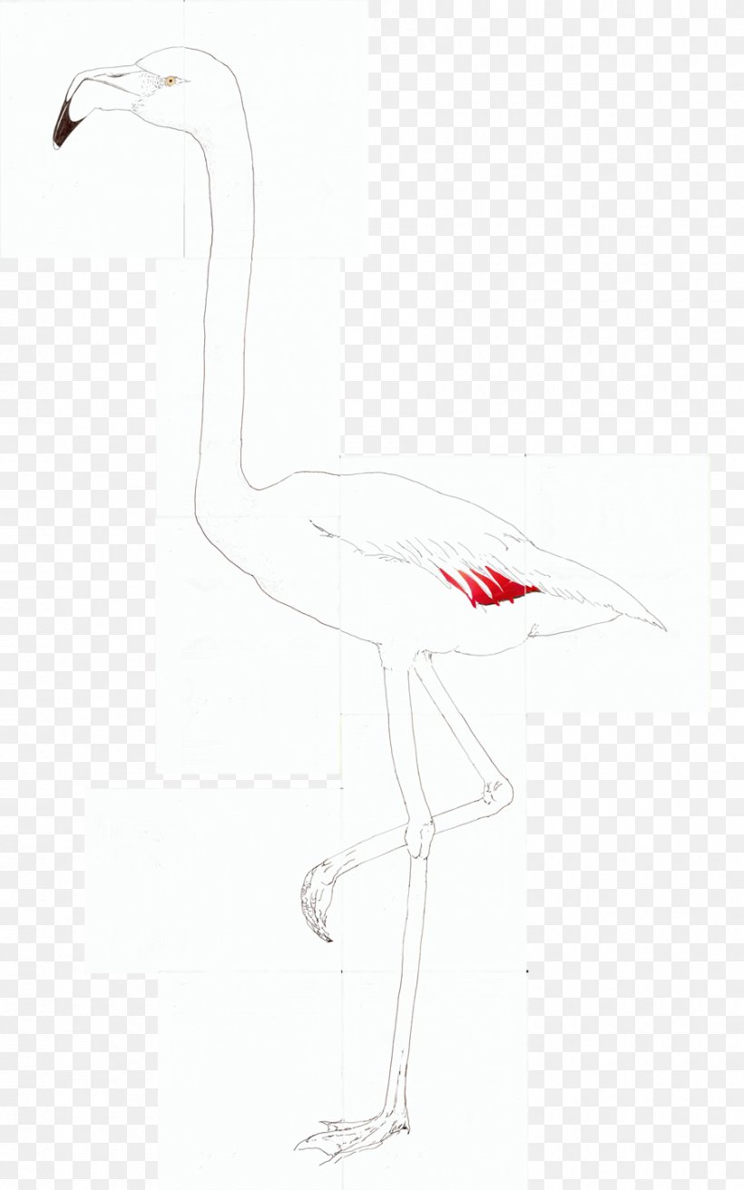 Crane Goose Cygnini Duck Anatidae, PNG, 900x1440px, Watercolor, Cartoon, Flower, Frame, Heart Download Free
