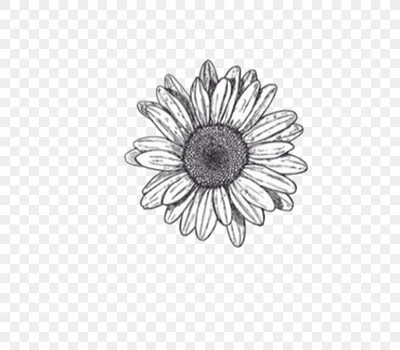 Flower Drawings Sketch, PNG, 1280x1120px, Flower Drawings, Art, Art Museum, Black, Black And White Download Free