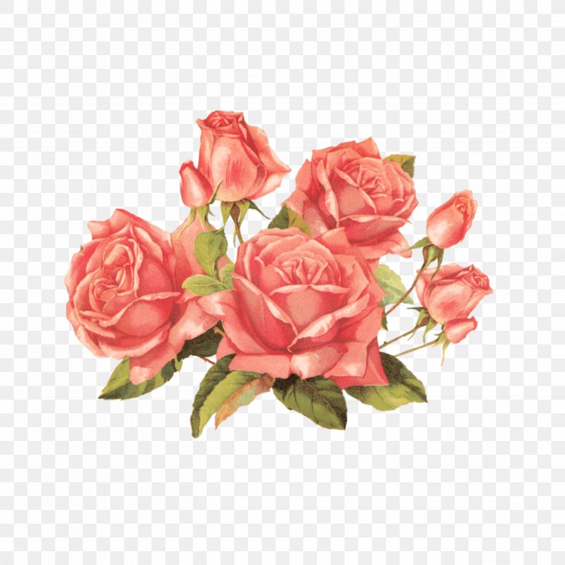 Rose Clip Art Vintage Clothing Flower Antique, PNG, 2896x2896px, Rose, Antique, Artificial Flower, Cut Flowers, Decoupage Download Free
