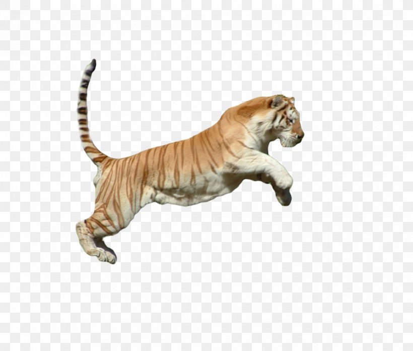 Tiger Cat Animal Fauna Mammal, PNG, 970x824px, Tiger, Animal, Animal Figure, Art, Big Cat Download Free