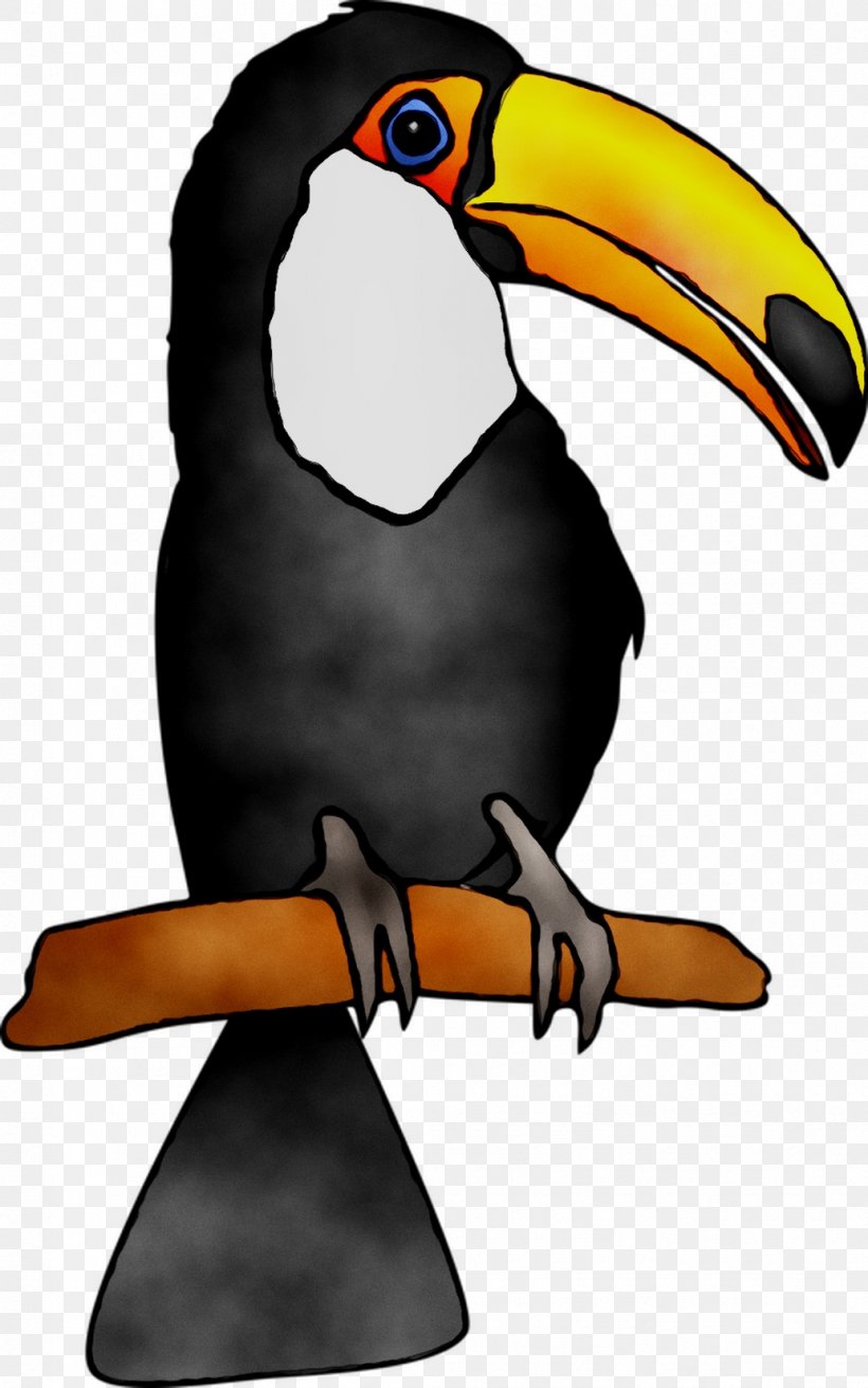 Toucan Beak Clip Art Fauna, PNG, 1034x1654px, Toucan, Beak, Bird, Coraciiformes, Emperor Penguin Download Free