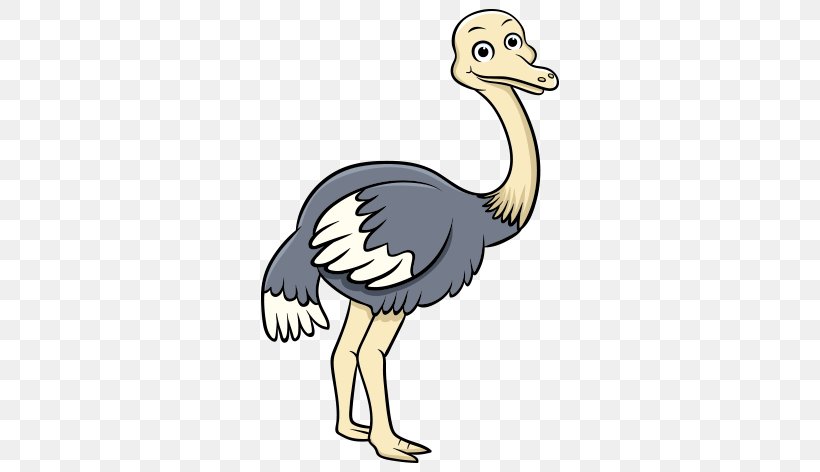 Common Ostrich Clip Art Bird GIF, PNG, 530x472px, Common Ostrich, Almightywind, Animal, Animation, Beak Download Free