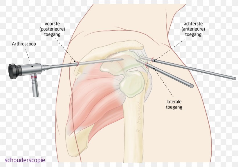 Ear Hip Jaw Finger Mouth, PNG, 954x672px, Watercolor, Cartoon, Flower, Frame, Heart Download Free