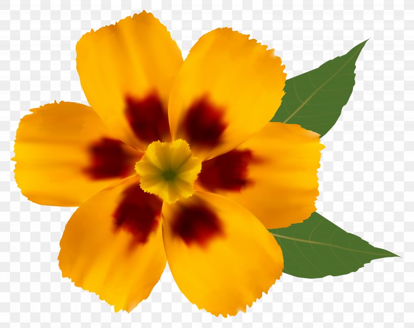 Flower Yellow Clip Art, PNG, 6288x4996px, Flower, Annual Plant, Flowering Plant, Gerber Format, Herbaceous Plant Download Free