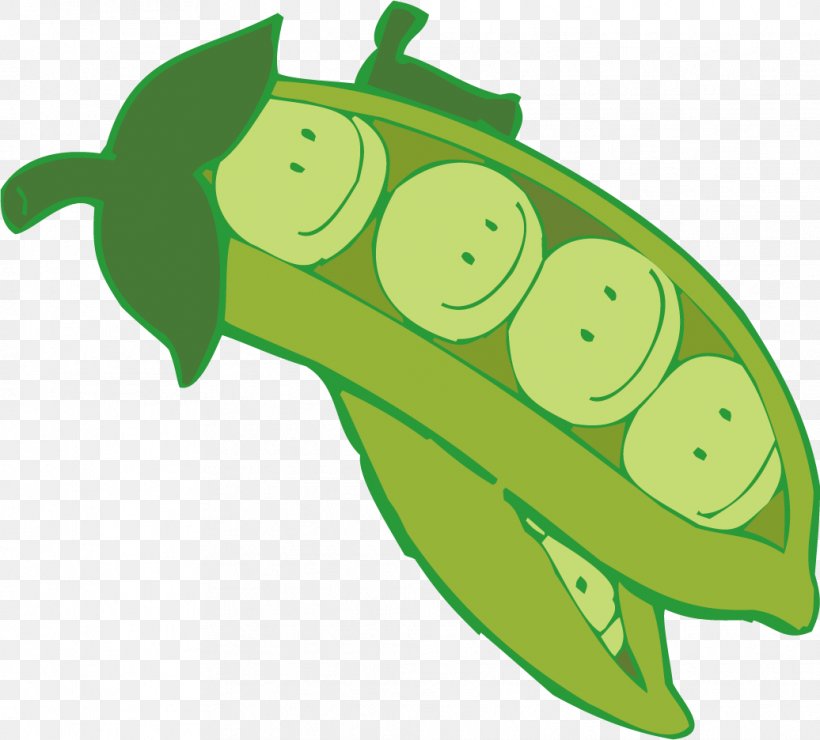 Fruit Pea Cartoon Bean, PNG, 1036x936px, Fruit, Amphibian, Bean, Cartoon,  Food Download Free