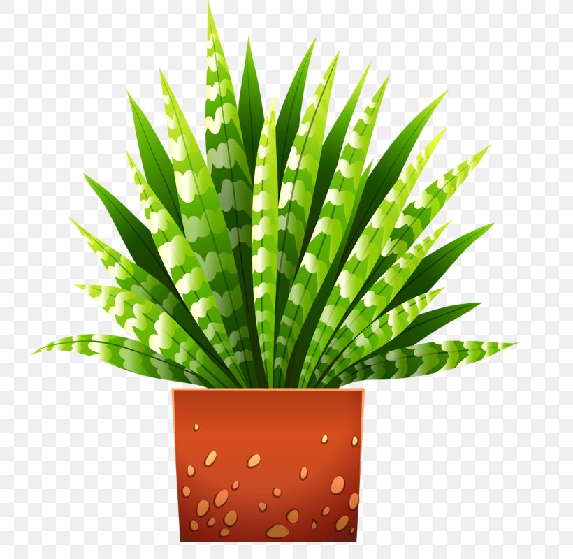 Houseplant Flowerpot Illustration, PNG, 734x800px, Plant, Aloe, Bonsai, Flowerpot, Grass Download Free