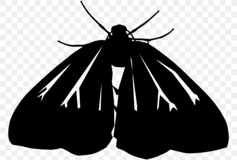 Moth Butterfly Brush-footed Butterflies Clip Art Caterpillar, PNG, 768x553px, Moth, Arthropod, Blackandwhite, Brushfooted Butterflies, Butterfly Download Free