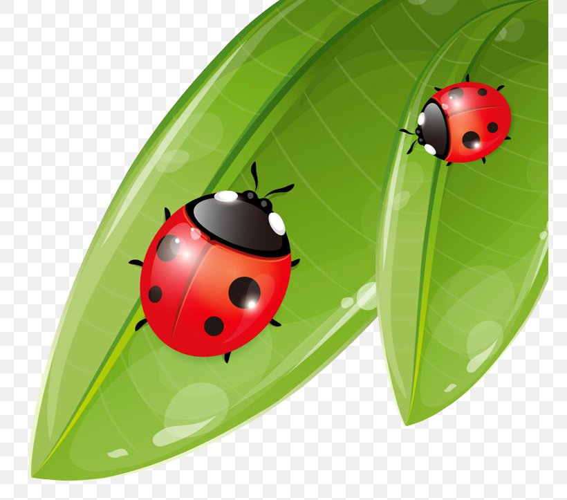 Coccinella Septempunctata Ladybird Cartoon Poster, PNG, 767x723px, Coccinella Septempunctata, Beetle, Cartoon, Cdr, Gratis Download Free