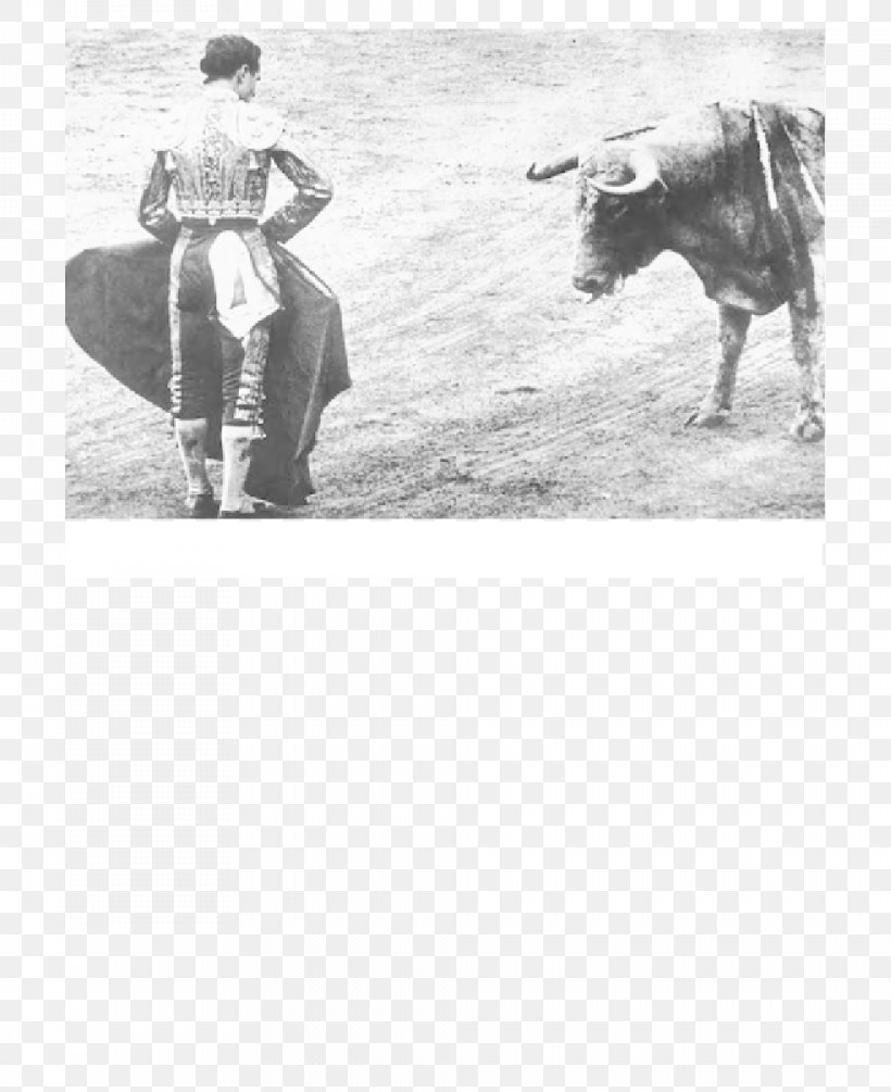 Redondo Beach Spain Bullfighter Bullfighting, PNG, 984x1206px, Redondo Beach, Alamy, Black And White, Bull, Bullfighter Download Free