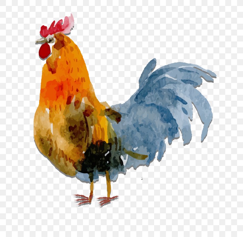 Rooster Chicken Watercolor Painting, PNG, 800x800px, Rooster, Beak, Bird, Chicken, Designer Download Free