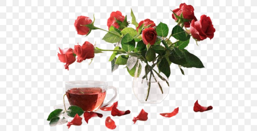 Rose Flower Sentiero Di Stelle Internet, PNG, 600x419px, Rose, Cut Flowers, Floral Design, Floristry, Flower Download Free