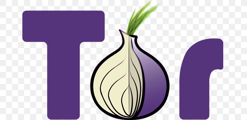 Tor .onion Onion Routing Anonymous Web Browsing Anonymity, PNG, 711x400px, Tor, Anonymity, Anonymous Web Browsing, Dark Web, Darknet Download Free
