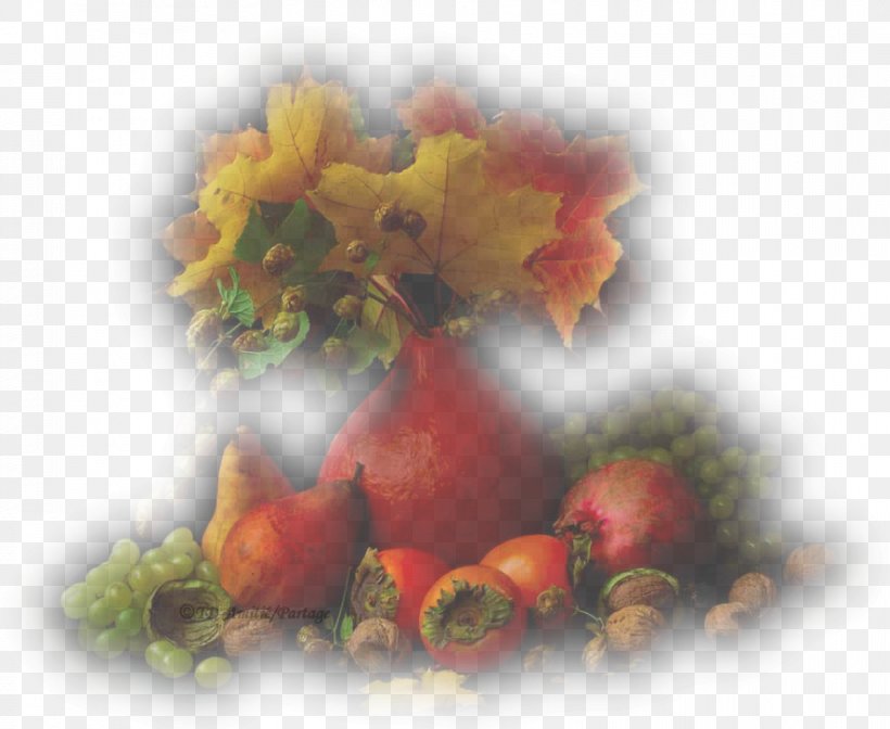 Autumn .net Still Life Photography .com, PNG, 888x728px, Autumn, Com, Flower, Fruit, Heart Download Free