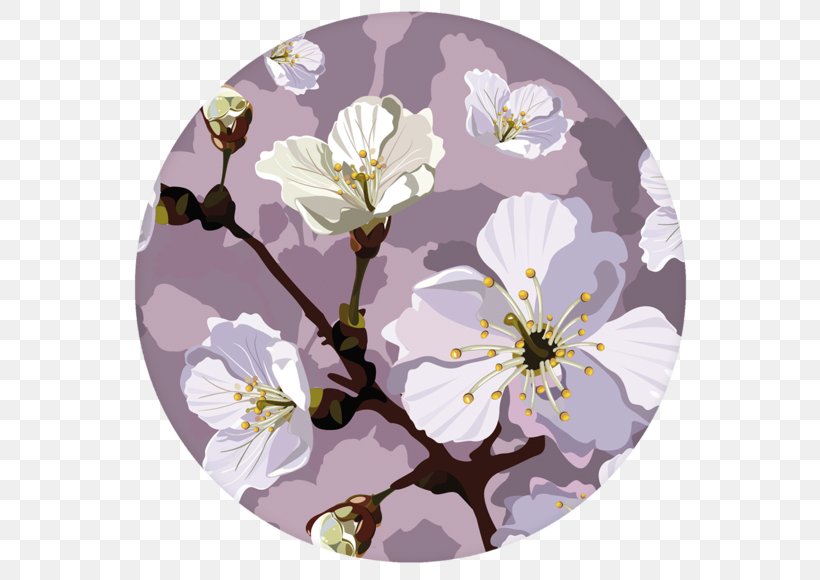Blossom, PNG, 580x580px, Blossom, Art, Branch, Cherry Blossom, Flora Download Free
