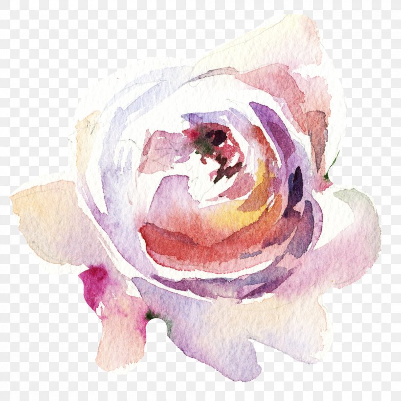 Garden Roses Flower, PNG, 2100x2100px, Garden Roses, Color, Cut Flowers, Designer, Drawing Download Free