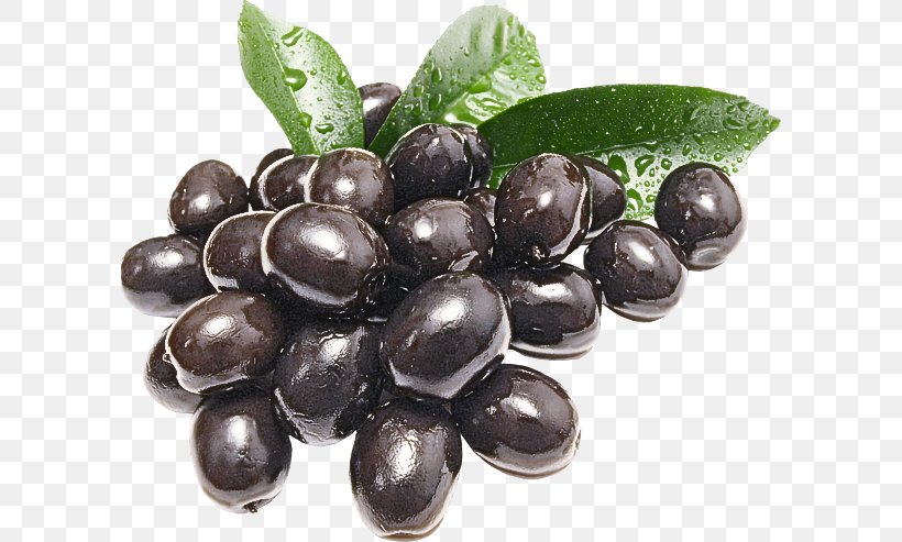Olive Food Fruit Plant Jamun, PNG, 600x493px, Olive, Food, Fruit, Grape, Jamun Download Free