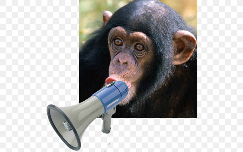 Chimpanzee Monkey Homo Sapiens Dog Celebrity, PNG, 512x512px, Watercolor, Cartoon, Flower, Frame, Heart Download Free