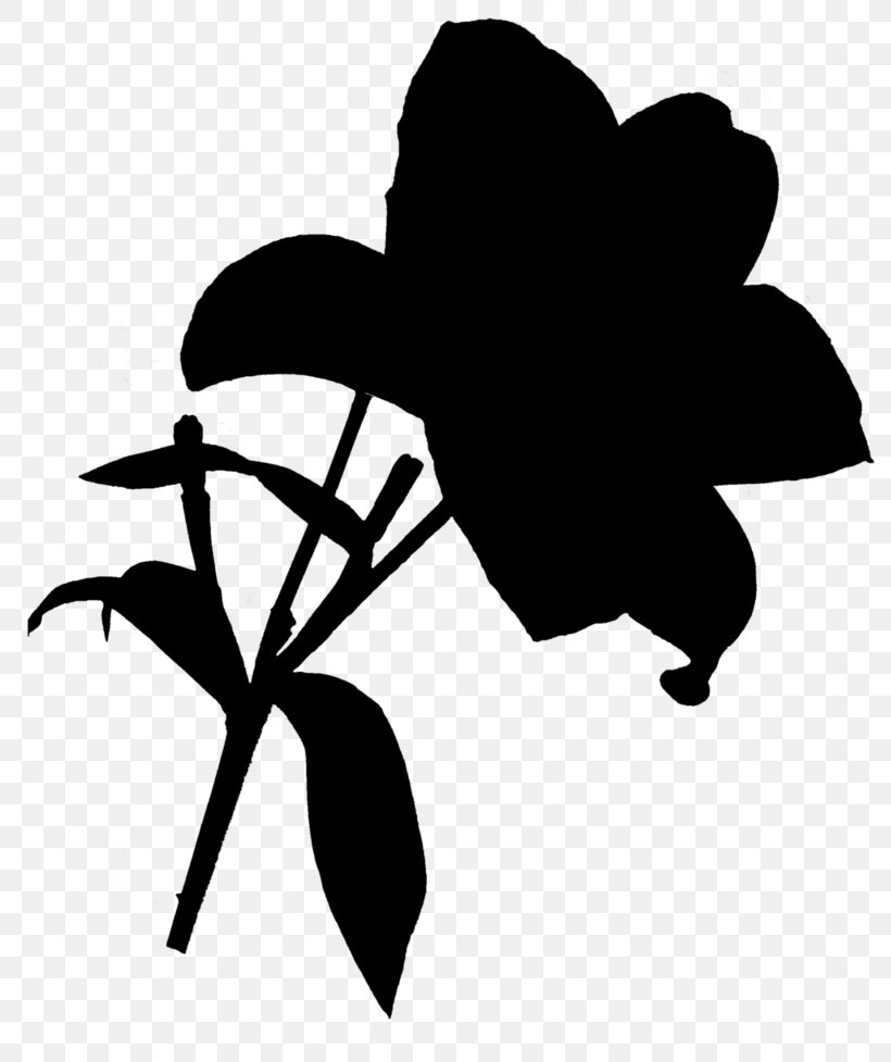 Clip Art Leaf Silhouette Plant Stem Flowering Plant, PNG, 817x977px, Leaf, Blackandwhite, Botany, Flower, Flowering Plant Download Free