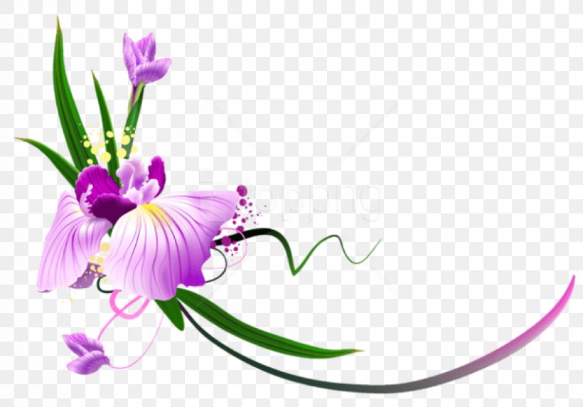 Floral Design Flower Clip Art, PNG, 850x593px, Floral Design, Blue Rose, Botany, Cattleya, Cut Flowers Download Free