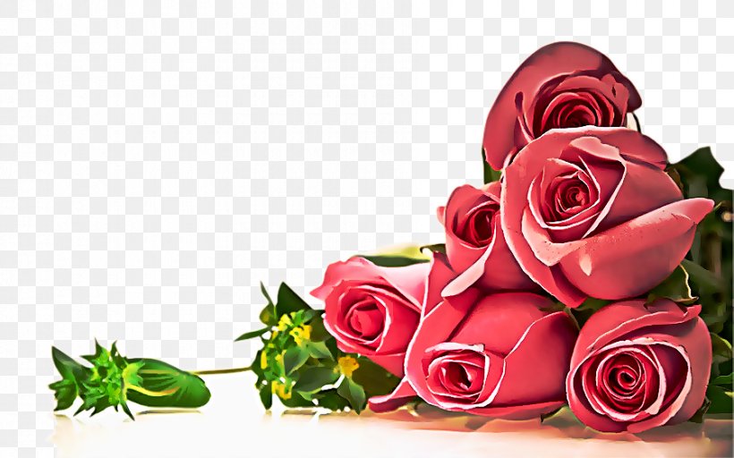 Garden Roses, PNG, 900x563px, Rose, Bouquet, Cut Flowers, Flower, Garden Roses Download Free