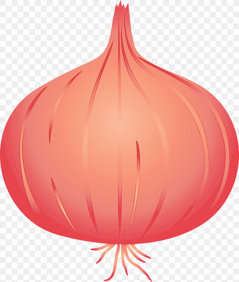 Red Balloon, PNG, 2545x2999px, Onion, Balloon, Paint, Red, Watercolor Download Free