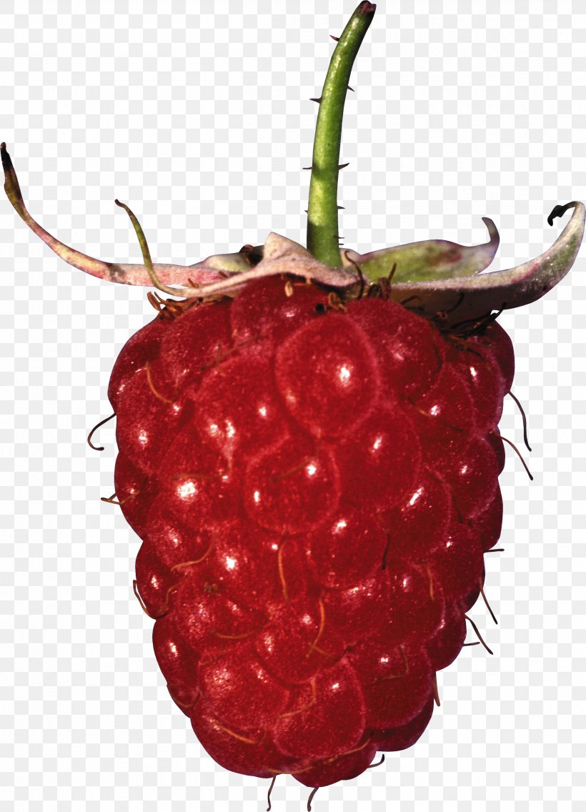 Red Raspberry Clip Art, PNG, 2504x3472px, Raspberry, Accessory Fruit, Berry, Cherry, Cranberry Download Free