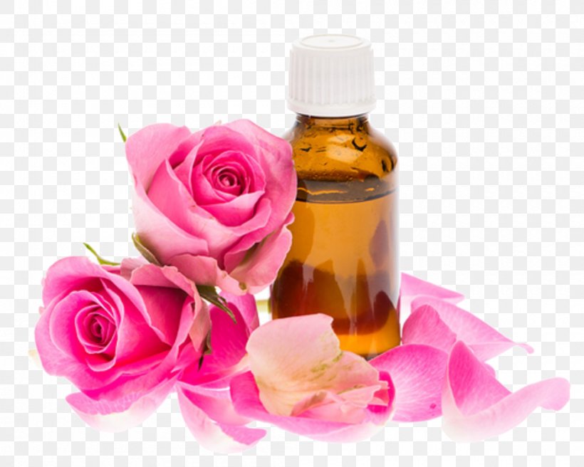 Tea Tree Oil, PNG, 1000x800px, Rose Oil, Absolute, Aromatherapy, Beauty, Bottle Download Free