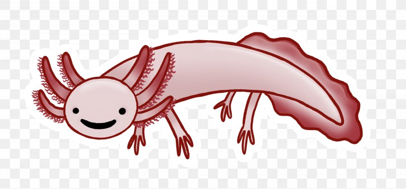 Axolotl Cartoon Canvas Salamander Illustration, PNG, 2640x1227px, Axolotl, Amphibian, Art, Artist, Canvas Download Free
