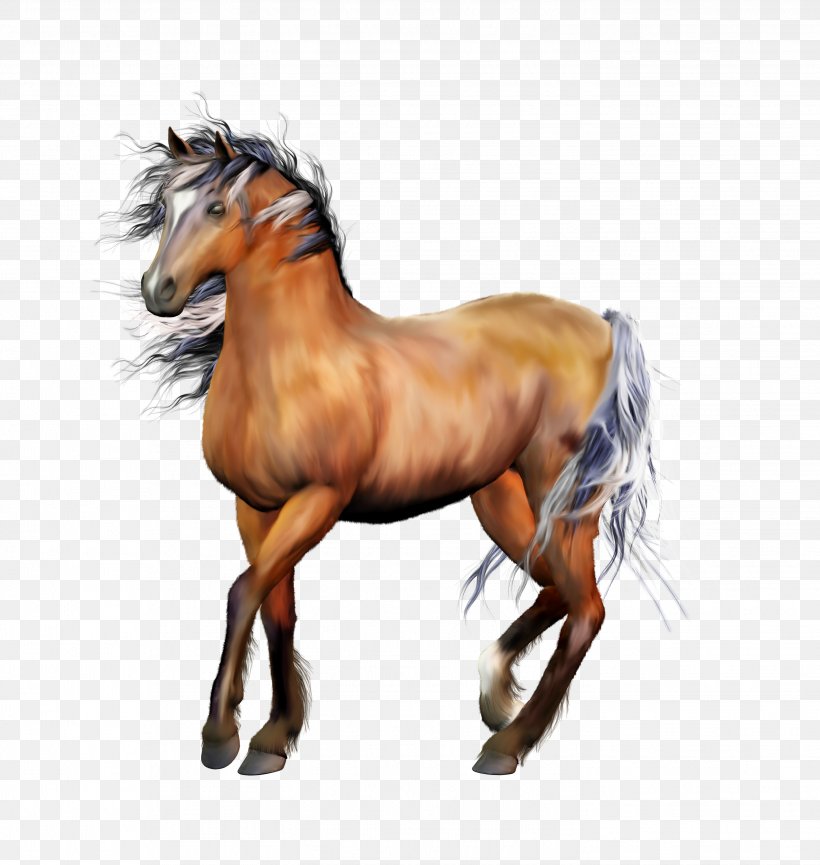 Horse Animation, PNG, 2842x3000px, Horse, Android, Animation, Bridle, Colt Download Free