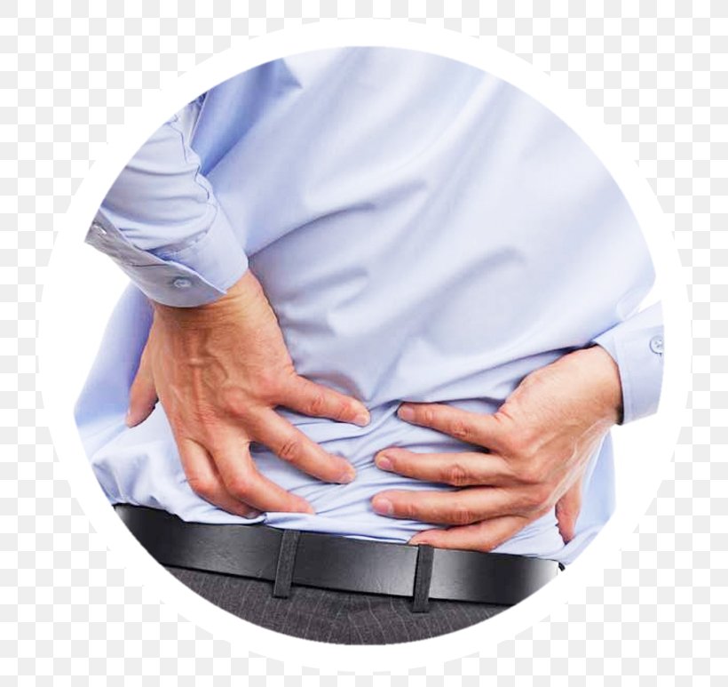 Low Back Pain Physical Therapy Human Back Chiropractic, PNG, 800x773px, Back Pain, Ache, Arm, Chiropractic, Chiropractor Download Free