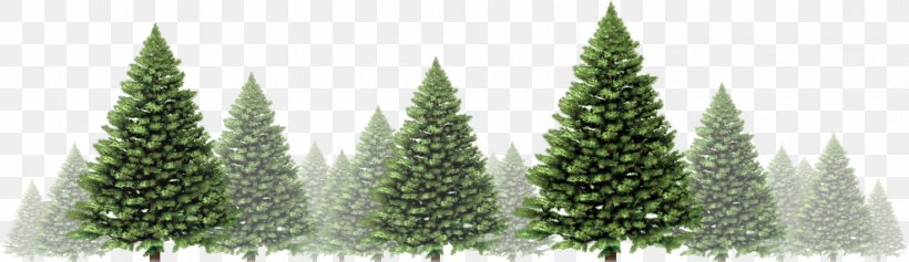 Christmas Tree Stock Photography Christmas Day Royalty-free Illustration, PNG, 1471x426px, Christmas Tree, Biome, Christmas Day, Christmas Decoration, Christmas Ornament Download Free