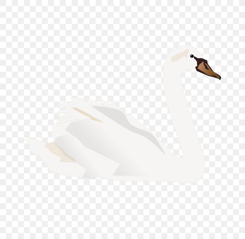 Duck Domestic Goose Cygnini, PNG, 800x800px, Duck, Beak, Big White Goose, Bird, Cygnini Download Free