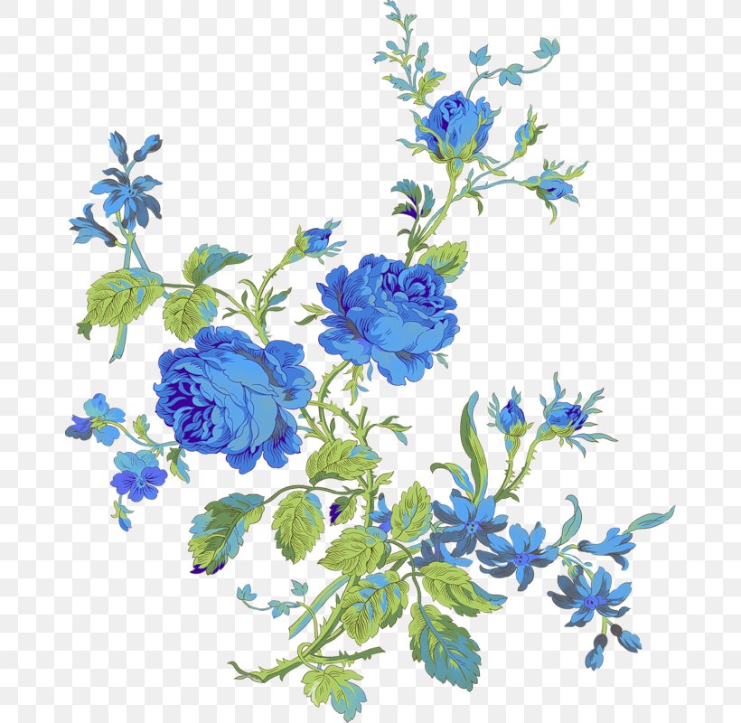 Flower Color Clip Art, PNG, 676x800px, Flower, Blog, Blue, Branch, Color Download Free