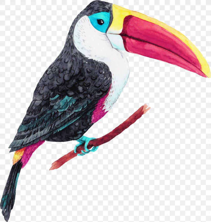 Jungle Island Bird Oiseaux Tropicaux Parrot, PNG, 3000x3161px, Jungle Island, Beak, Bird, Drawing, Feather Download Free