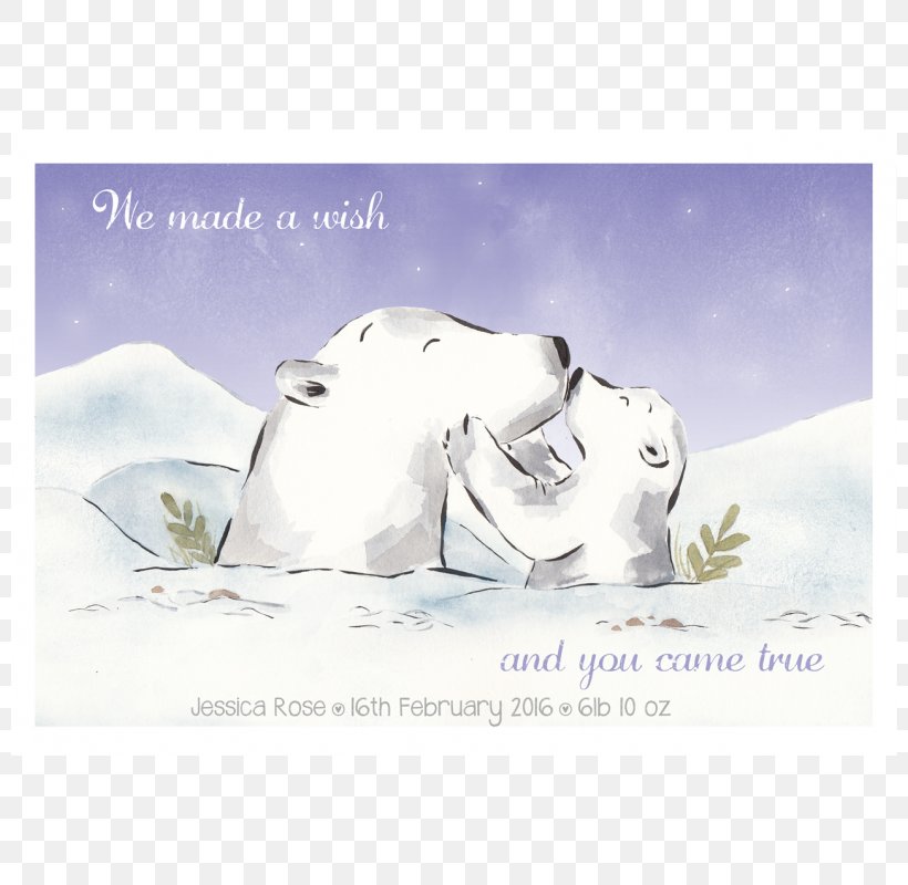 Polar Bear Illustrator Art Ireland, PNG, 800x800px, Polar Bear, Arctic, Art, Bear, Carnivoran Download Free