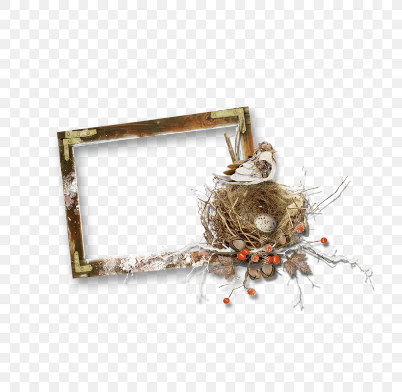 Wood Clip Art, PNG, 800x800px, Wood, Bird Nest, Nest, Resource, Twig Download Free