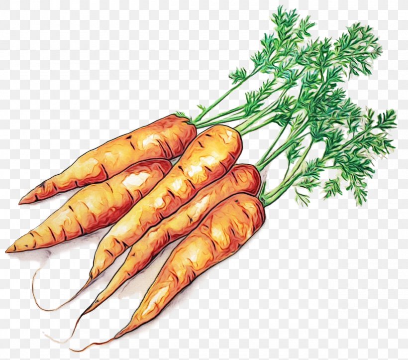Cartoon Baby, PNG, 1280x1130px, Baby Carrot, Arracacia Xanthorrhiza, Carrot, Food, Herb Download Free